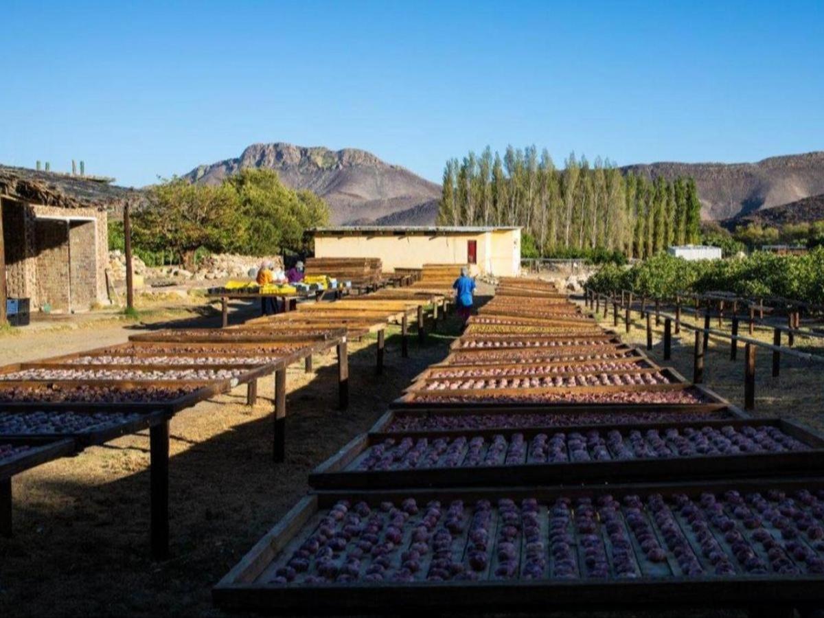 Weltevrede Fig Farm Apartment Prince Albert Exterior photo