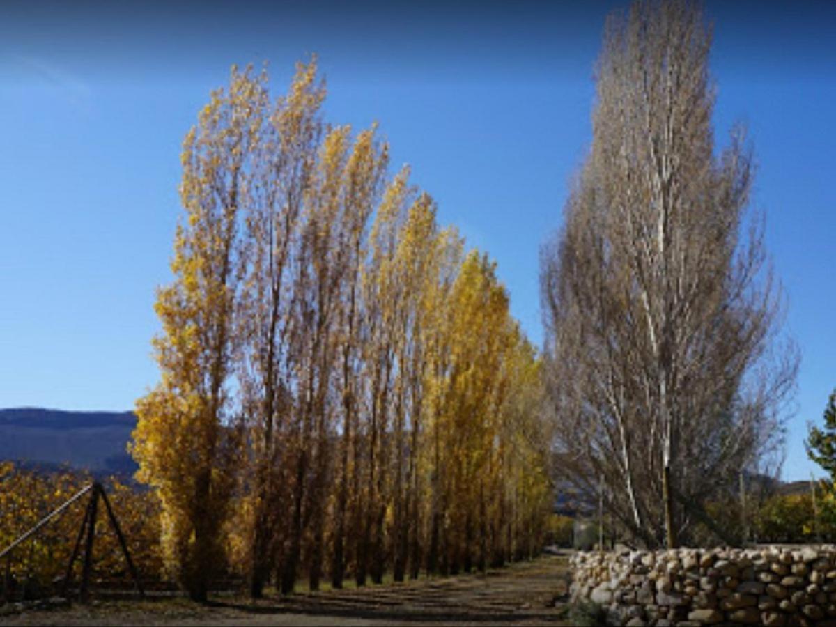 Weltevrede Fig Farm Apartment Prince Albert Exterior photo